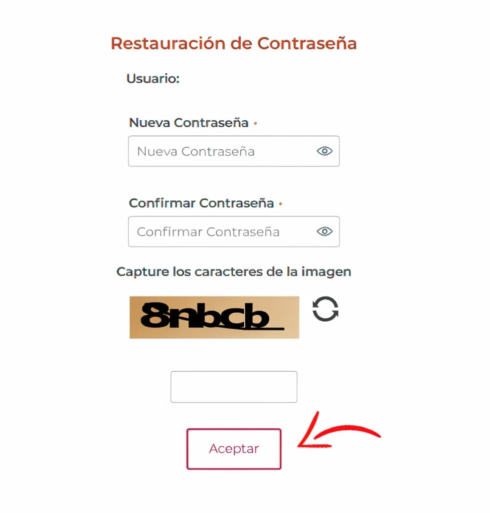 ¿No ha recibido el correo de recuperación?
