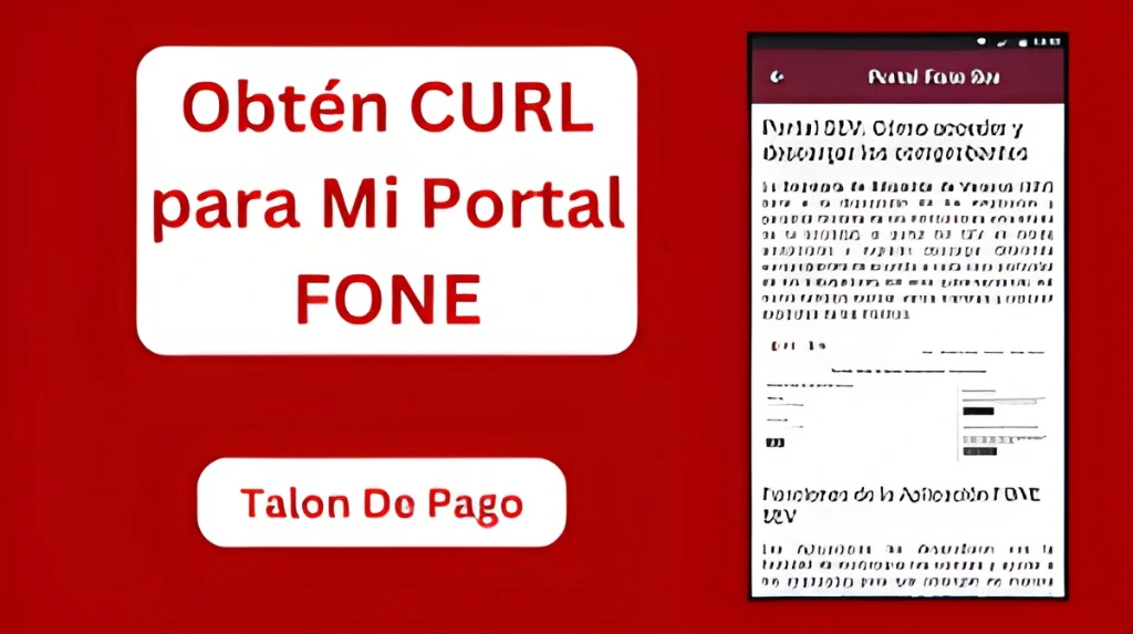 ¿Cómo consultar tu Talón de Pago en el Portal FONE?