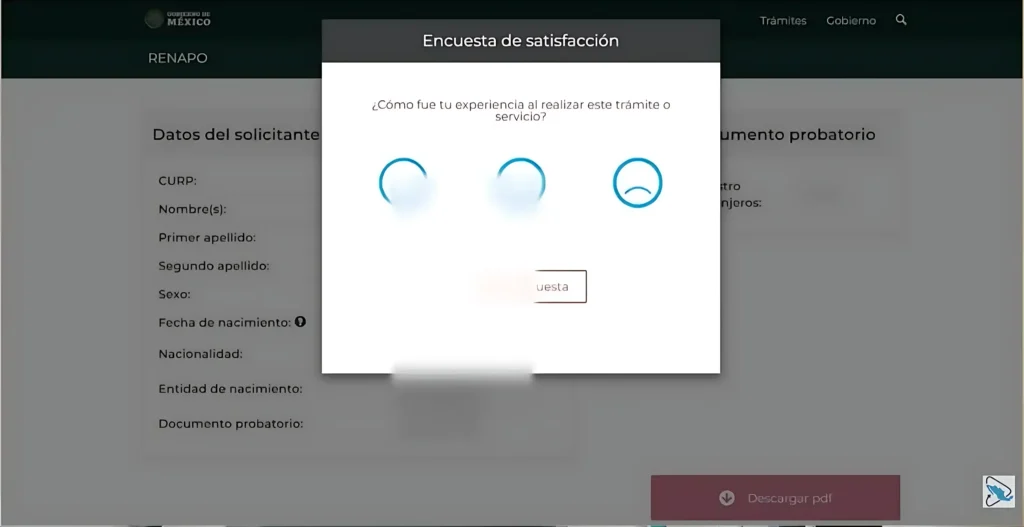 Paso 5: Resolver problemas (si es necesario)