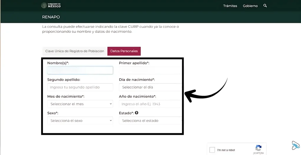 Paso 2: Ingresa la información requerida