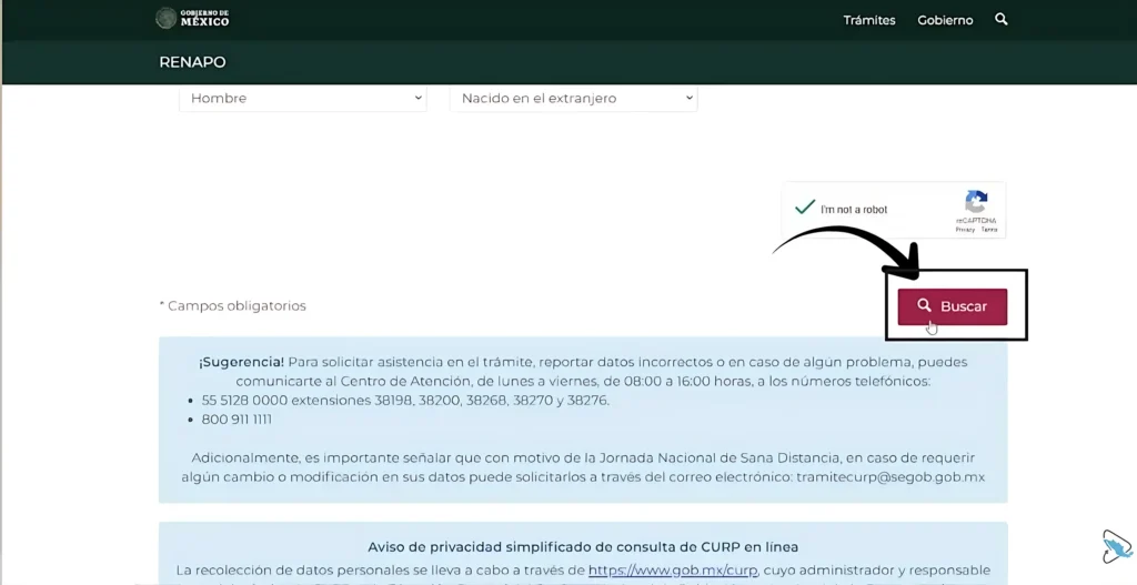Paso 4: Verifica y obtén tu CURP